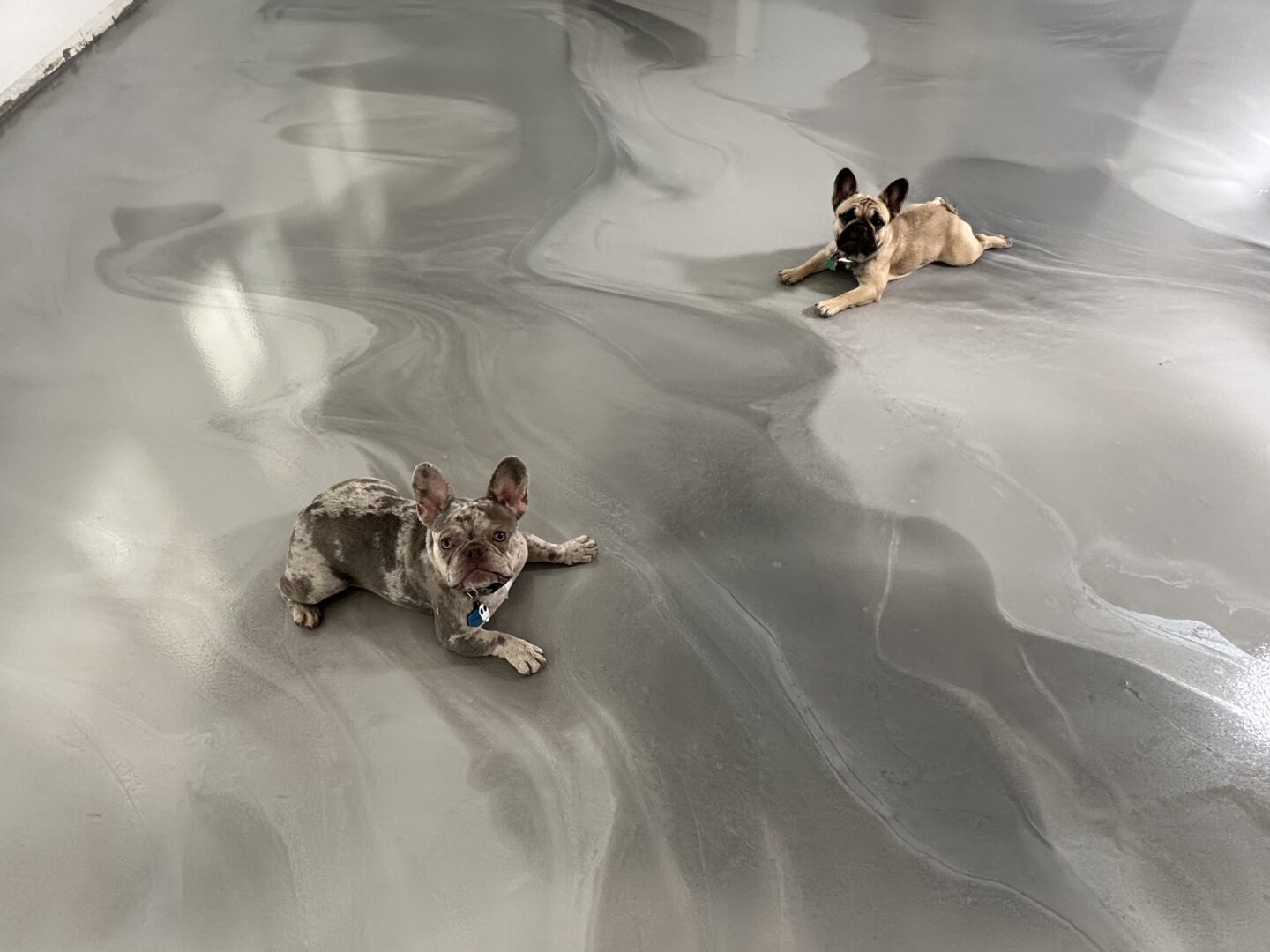 When “Good Enough” Isn’t Even Close: Epoxy Floor Rescue