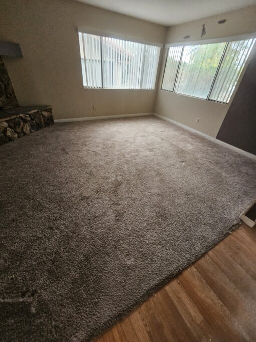 Before photo