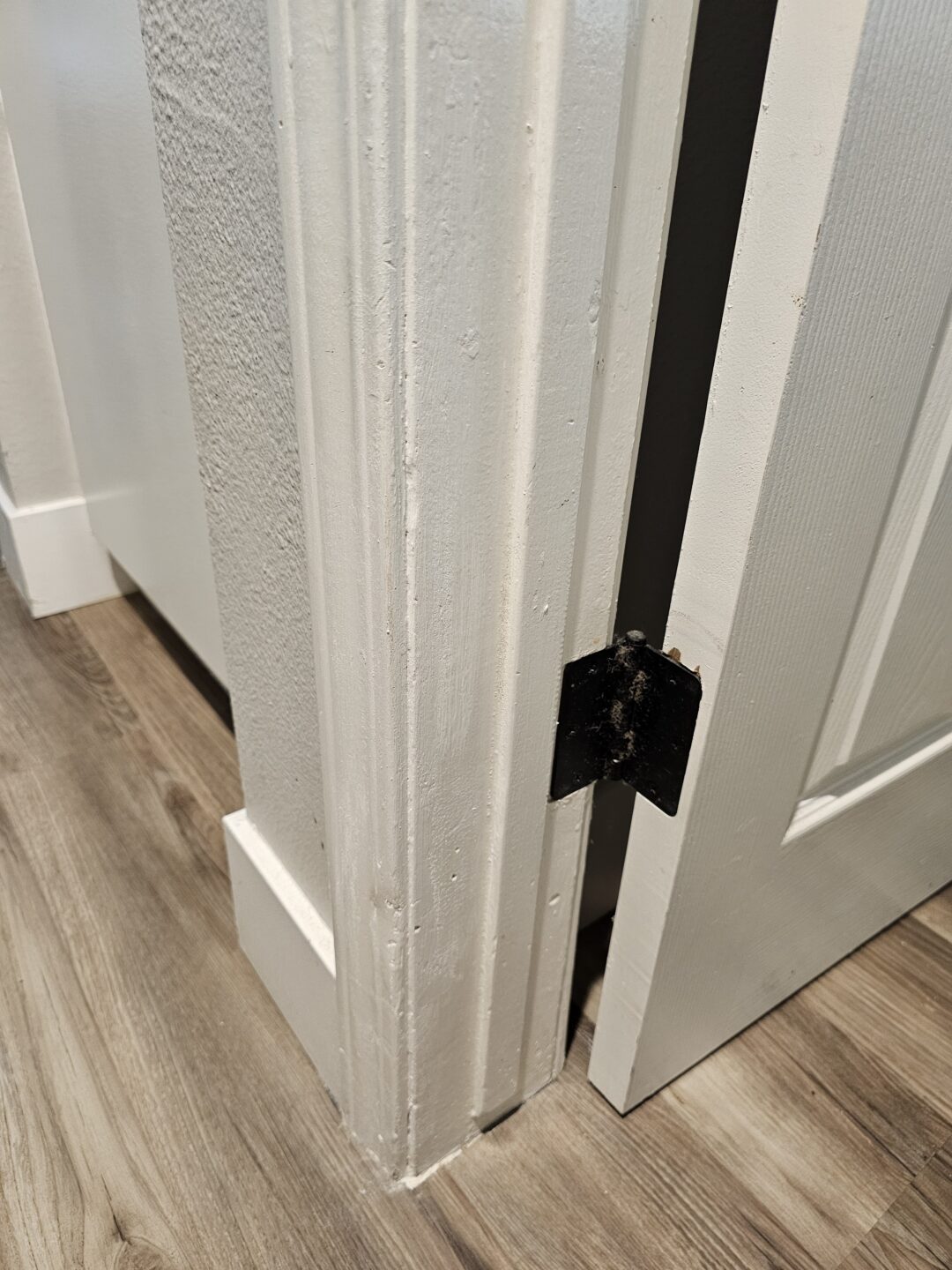 Dog chewed door casing