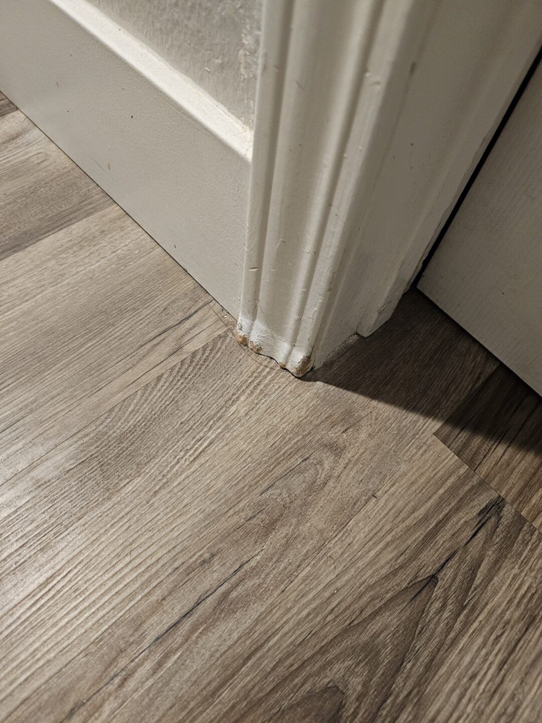 Dog chewed door casing